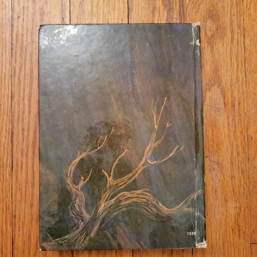 Whitman The Jinx‎ of Payrock Canyon Hardcover Troy Nesbit Vintage Mystery Gift